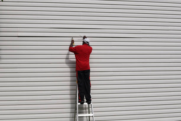 Trusted Rogersville, AL Siding Experts
